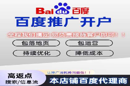 行业领先企业的网络推广与竞价经验